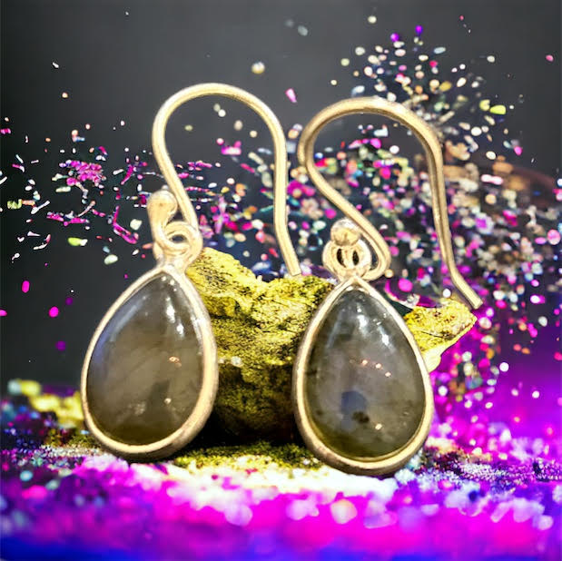 Labradorite silver earrings 925