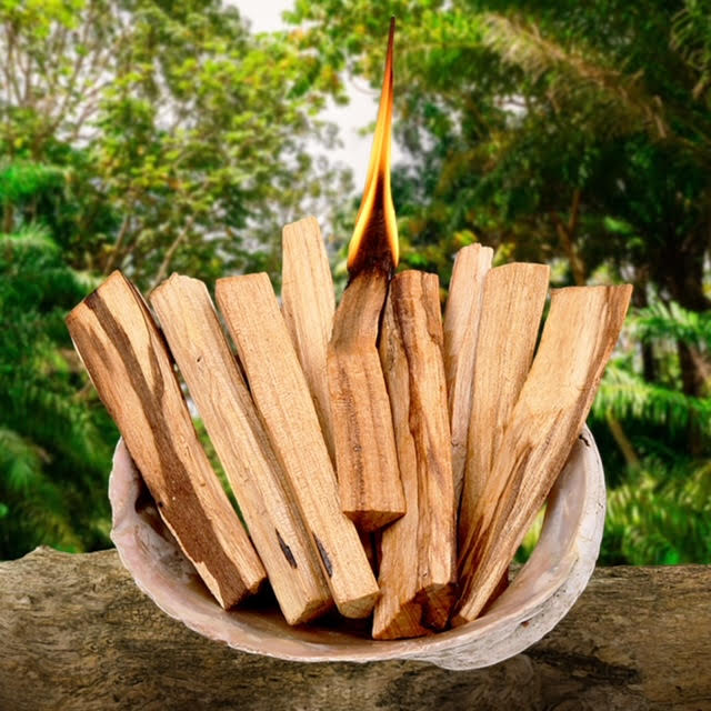 Palo-Santo-Sticks