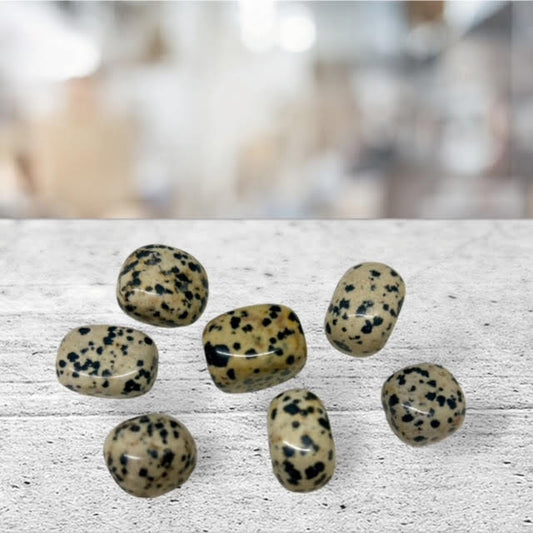 Stone Jasper Dalmatian