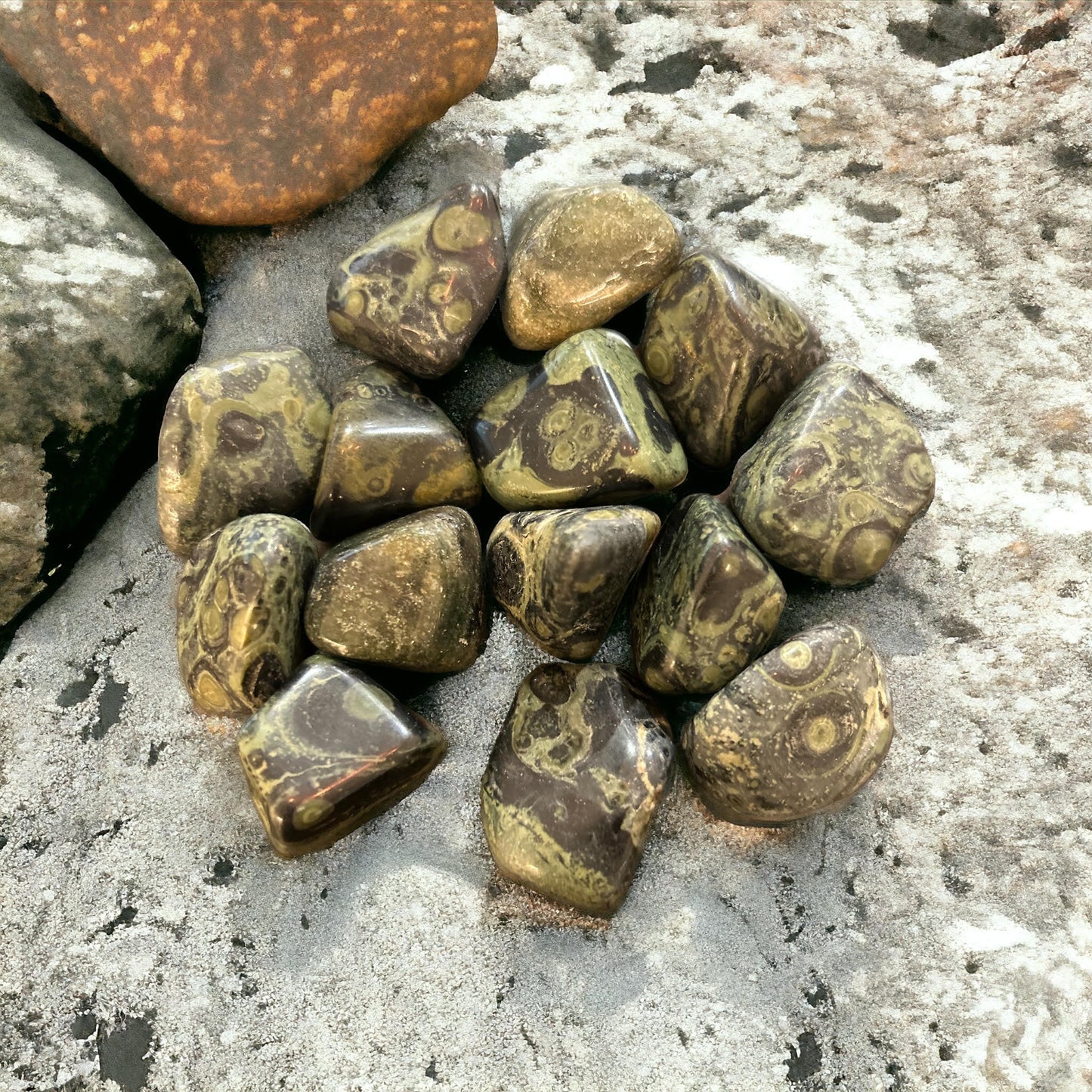 Kambaba Jasper Tumbled Stone