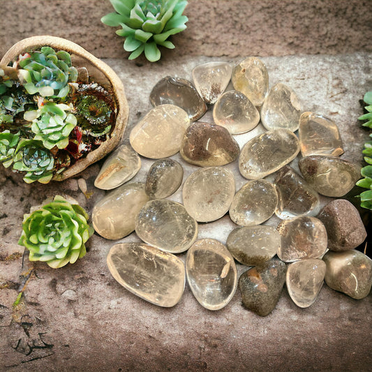 Lodolite Tumbled Stone