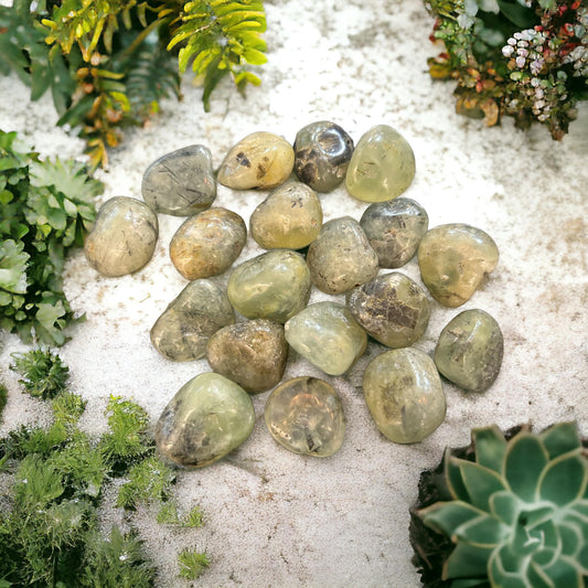 Prehnite Tumbled Stone