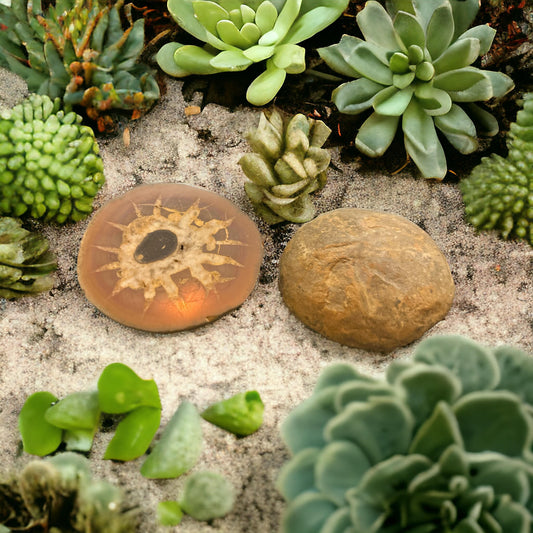 Septarian Nodule - Set of 2 stones