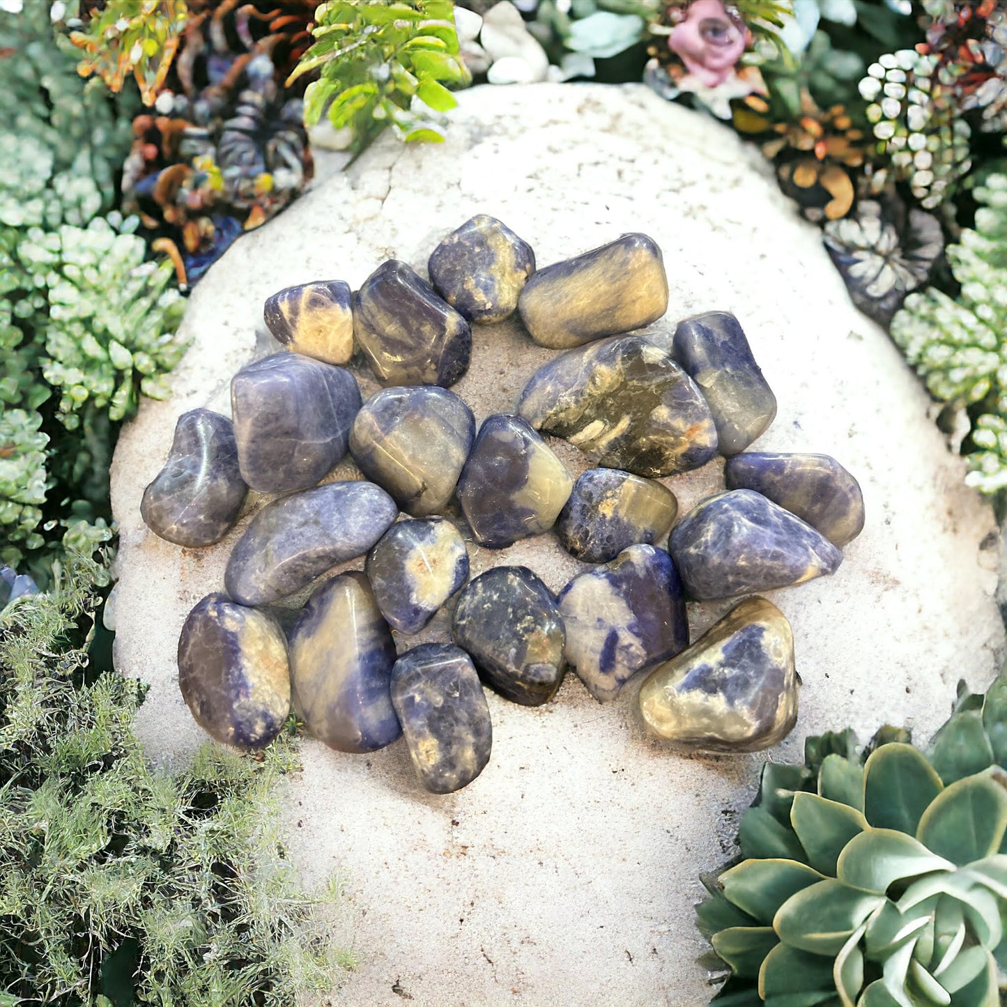 Sodalite Tumbled Stone